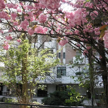 Hotel Park Castrocaro Terme