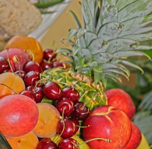 Hotel Park Castrocaro Terme