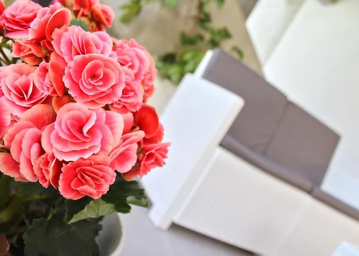 Hotel Park Castrocaro Terme