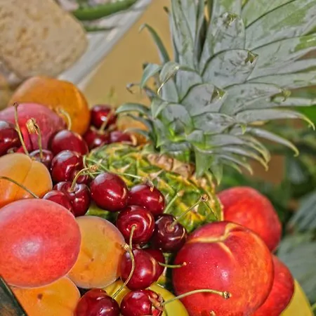 Hotel Park Castrocaro Terme