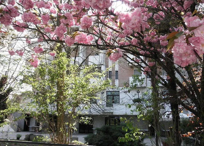 Otel Park Castrocaro Terme